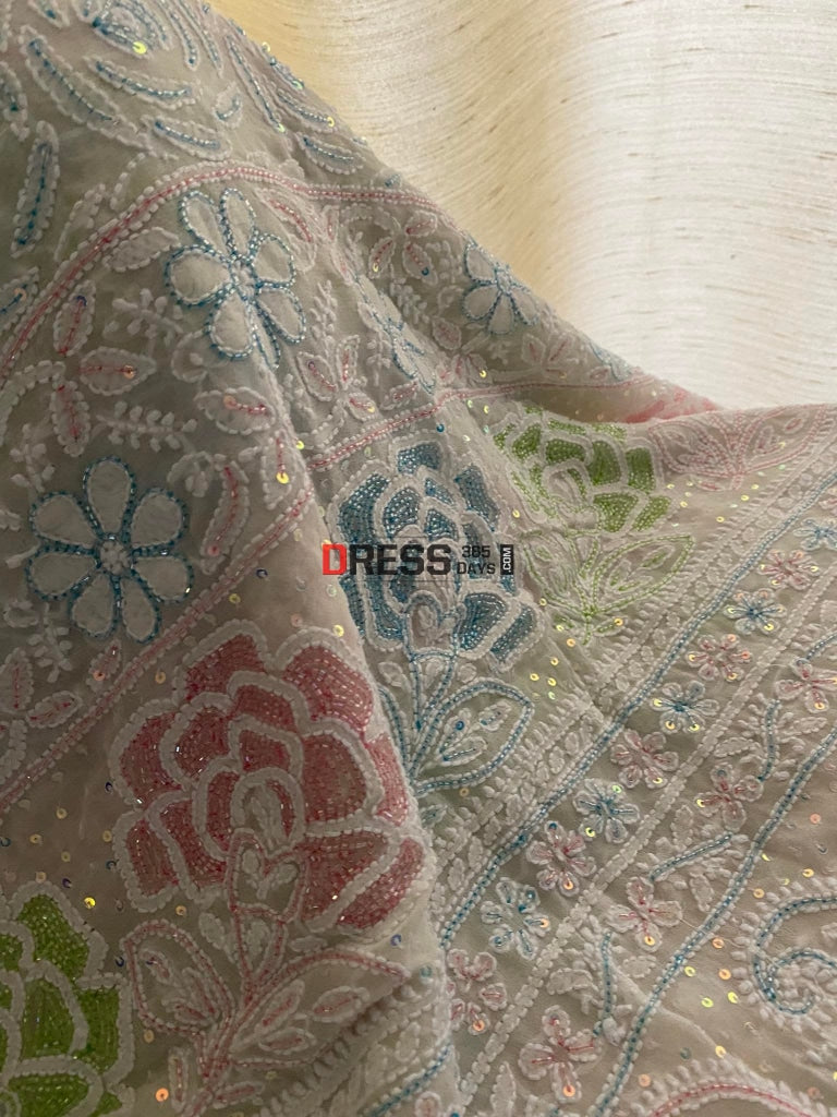 Chikankari & Multicolour Cut Dana Hand Embroidered Saree