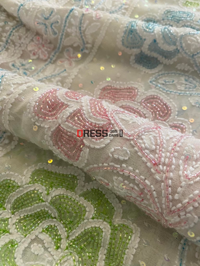 Chikankari & Multicolour Cut Dana Hand Embroidered Saree