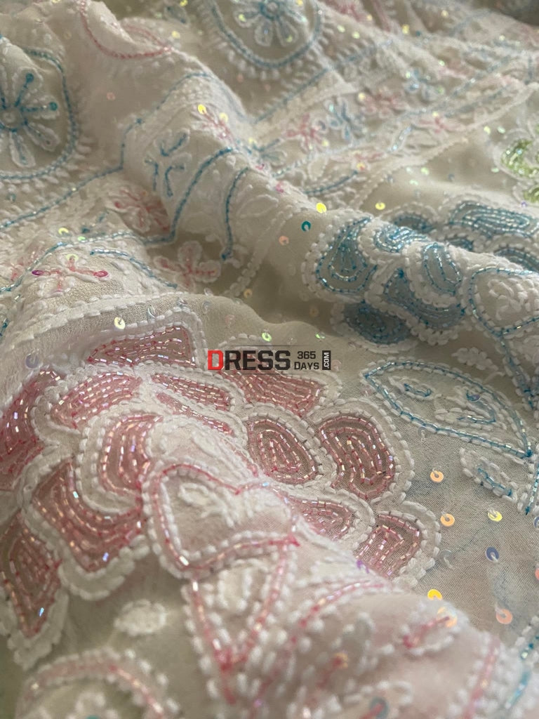 Chikankari & Multicolour Cut Dana Hand Embroidered Saree
