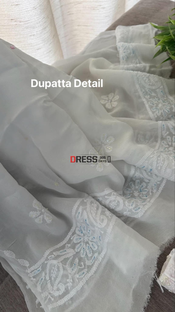 Cut Dana Work Lucknowi Chikankari Anarkali Chikankari Anarkali