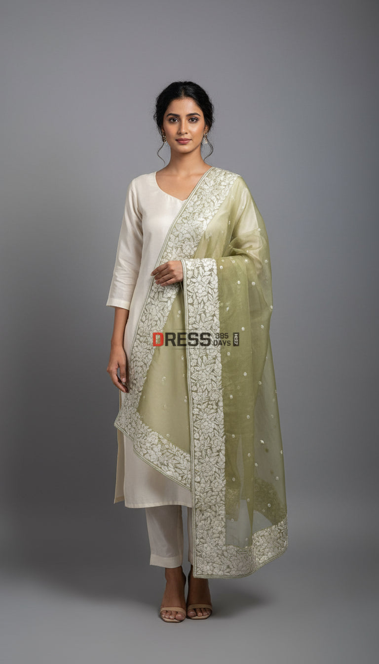 Designer Organza Parsi Gara Hand Embroidered Dupatta Parsi Gara Dupatta
