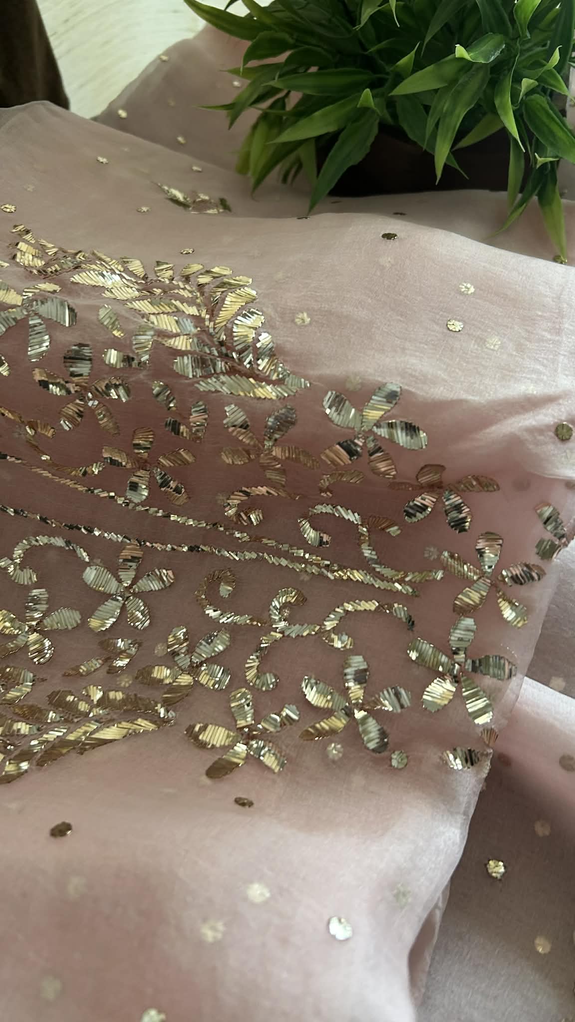 Pastel Pink Organza Mukaish Suit