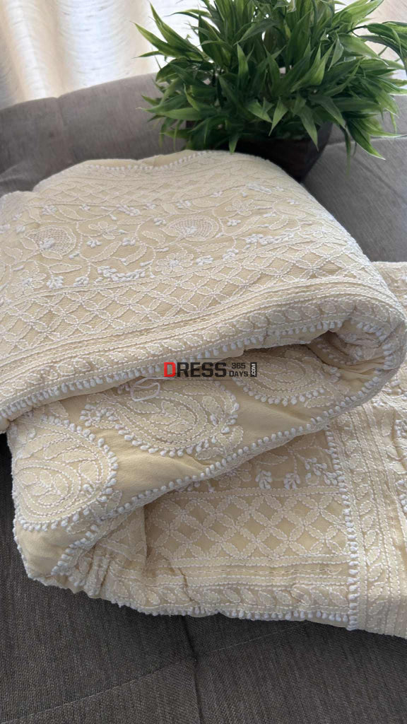 Elegant Beige Chikankari Hand Jaali Saree Chikankari Saree
