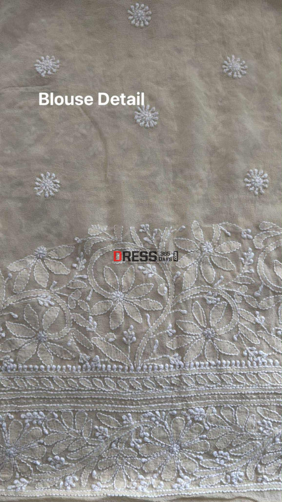 Elegant Beige Chikankari Hand Jaali Saree Chikankari Saree