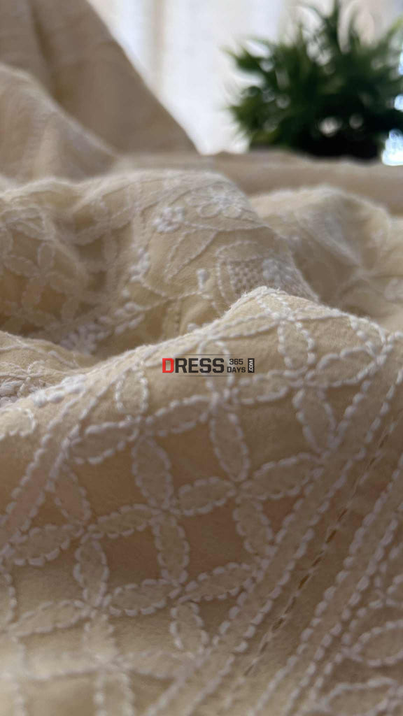 Elegant Beige Chikankari Hand Jaali Saree Chikankari Saree