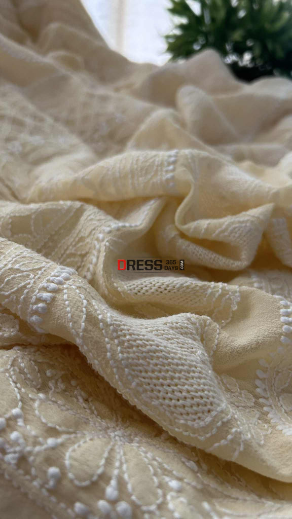 Elegant Beige Chikankari Hand Jaali Saree Chikankari Saree