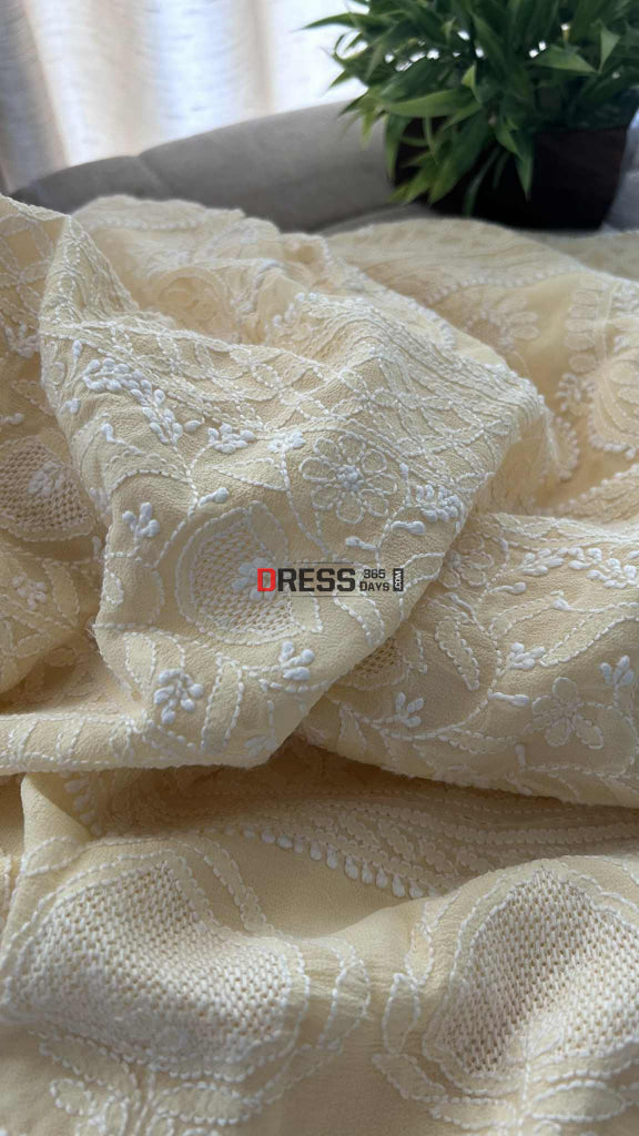 Elegant Beige Chikankari Hand Jaali Saree Chikankari Saree