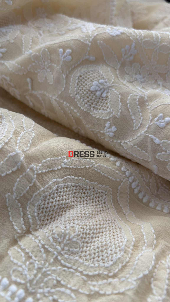 Elegant Beige Chikankari Hand Jaali Saree Chikankari Saree