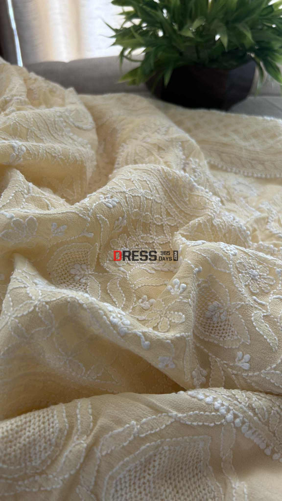 Elegant Beige Chikankari Hand Jaali Saree Chikankari Saree