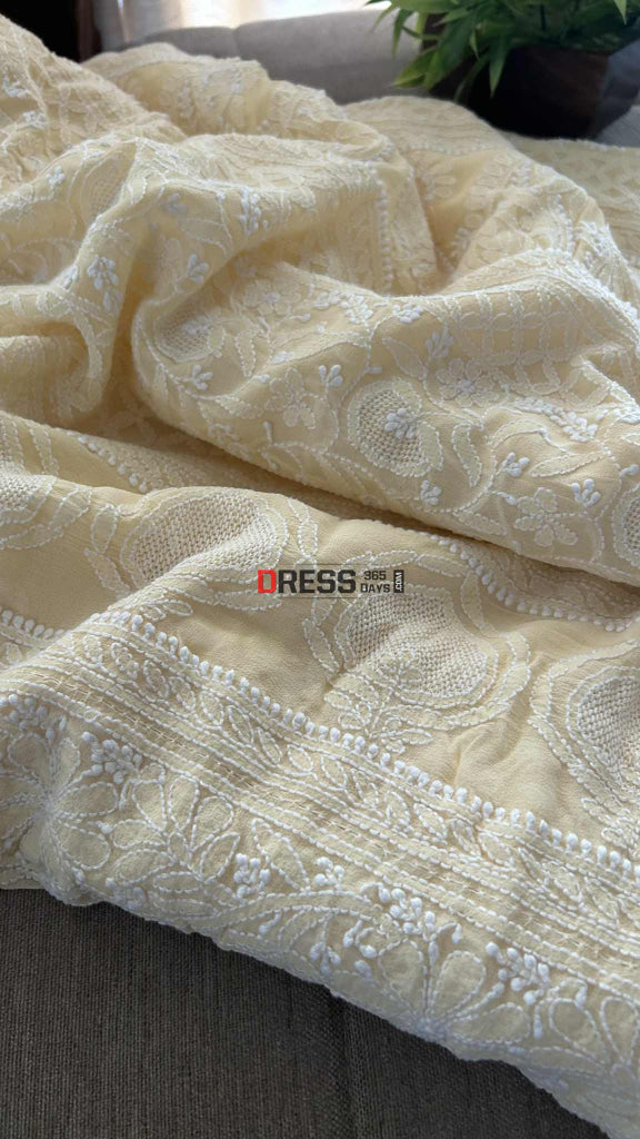 Elegant Beige Chikankari Hand Jaali Saree Chikankari Saree