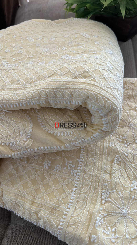 Elegant Beige Chikankari Hand Jaali Saree Chikankari Saree