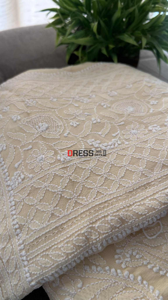 Elegant Beige Chikankari Hand Jaali Saree Chikankari Saree