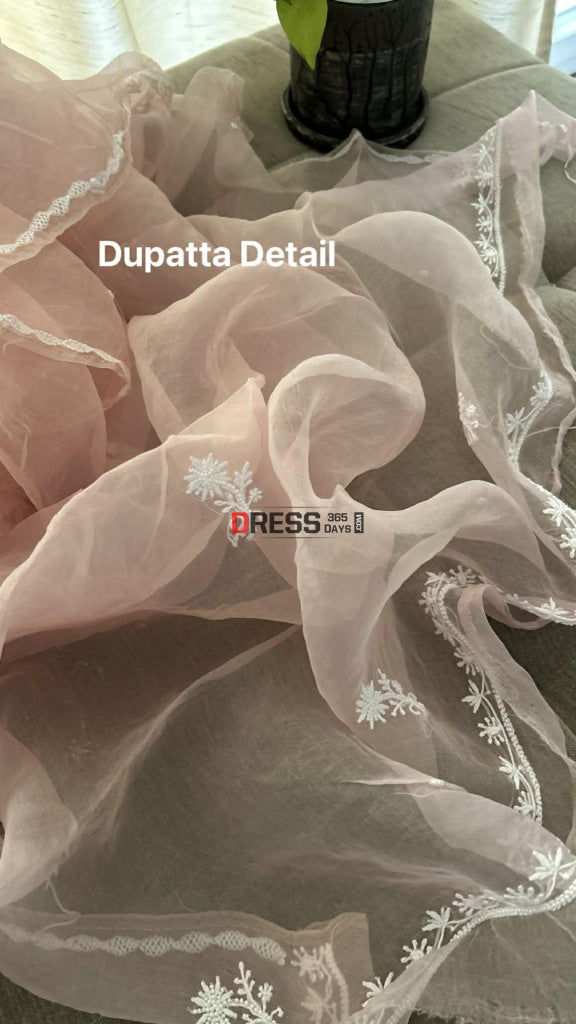 Exclusive Pastel Pink Organza Pearl Chikankari Suit - Chikankari Suits