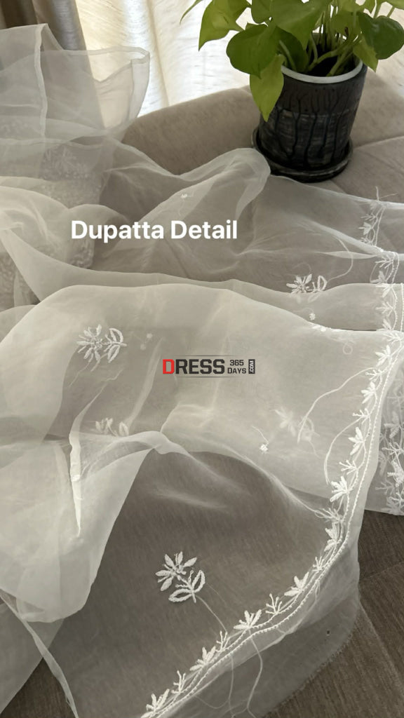 Exclusive White Full Jaal Organza Pearl Sequin Chikankari Suit - Chikankari Suits