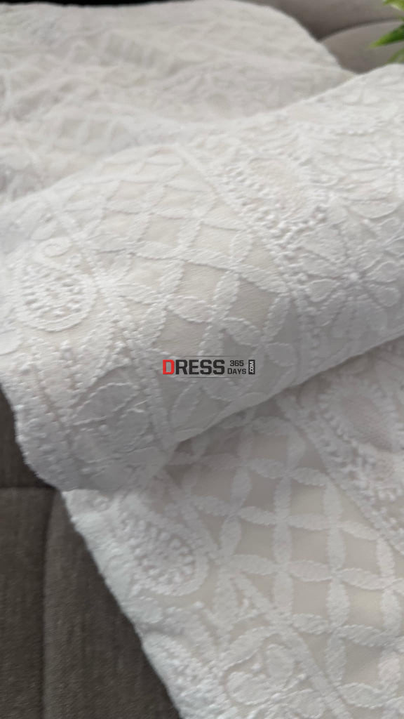 Ivory Fine Chikankari & Jaali Work Saree Chikankari Saree