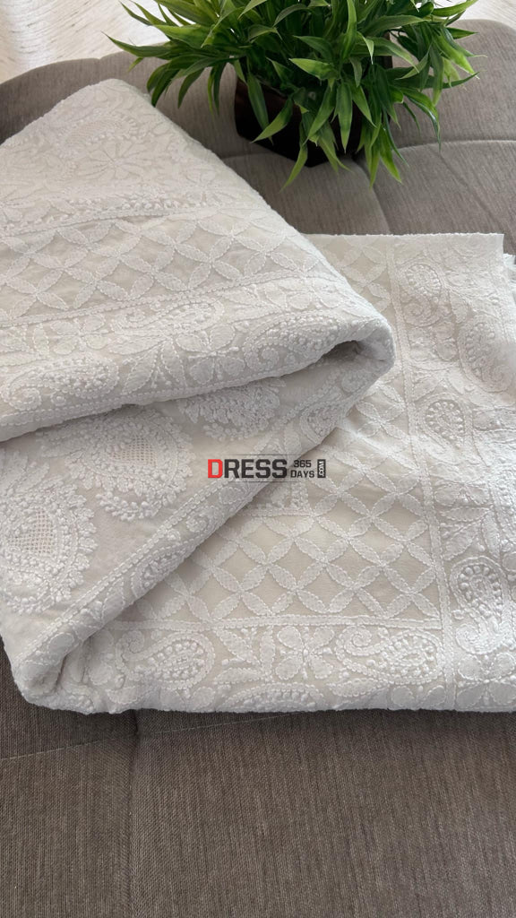 Ivory Fine Chikankari & Jaali Work Saree Chikankari Saree