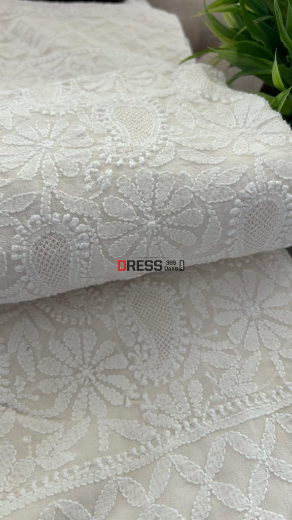 Ivory Fine Chikankari & Jaali Work Saree Chikankari Saree