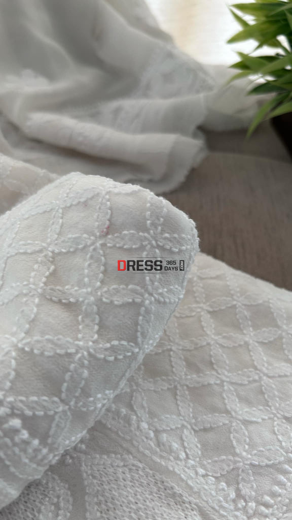 Ivory White Hand Jaali Chikankari Anarkali Suit Chikankari Anarkali