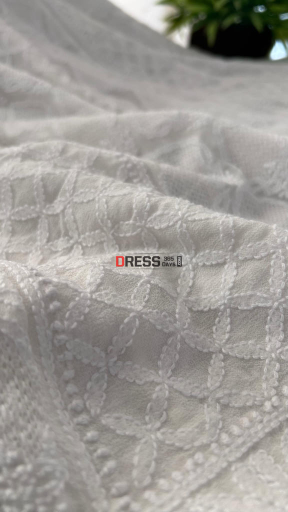 Ivory White Hand Jaali Chikankari Anarkali Suit Chikankari Anarkali