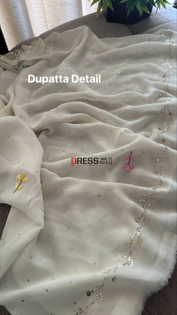 Ivory White Kamdani Parsi Gara Neckline Suit Chikankari Suits