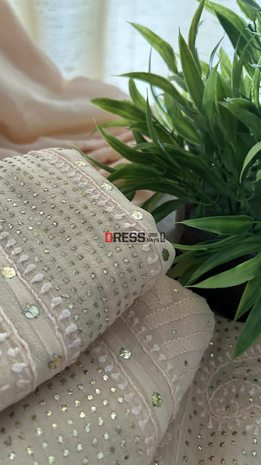 Light Peach Chikankari Anarkali Suit With Golden Mukaish (Anarkali And Dupatta) Chikankari Anarkali