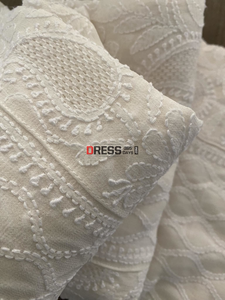 Lucknowi Chikankari Anarkali With Hand Jaali Work