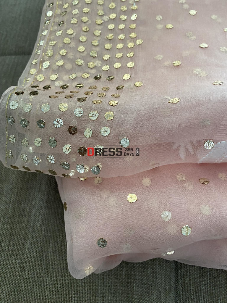 Pastel Pink Organza Mukaish & Chikankari Saree Parsi Gara