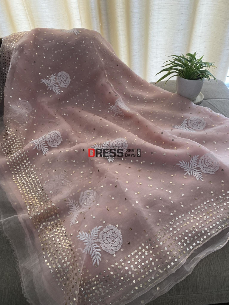 Pastel Pink Organza Mukaish & Chikankari Saree Parsi Gara