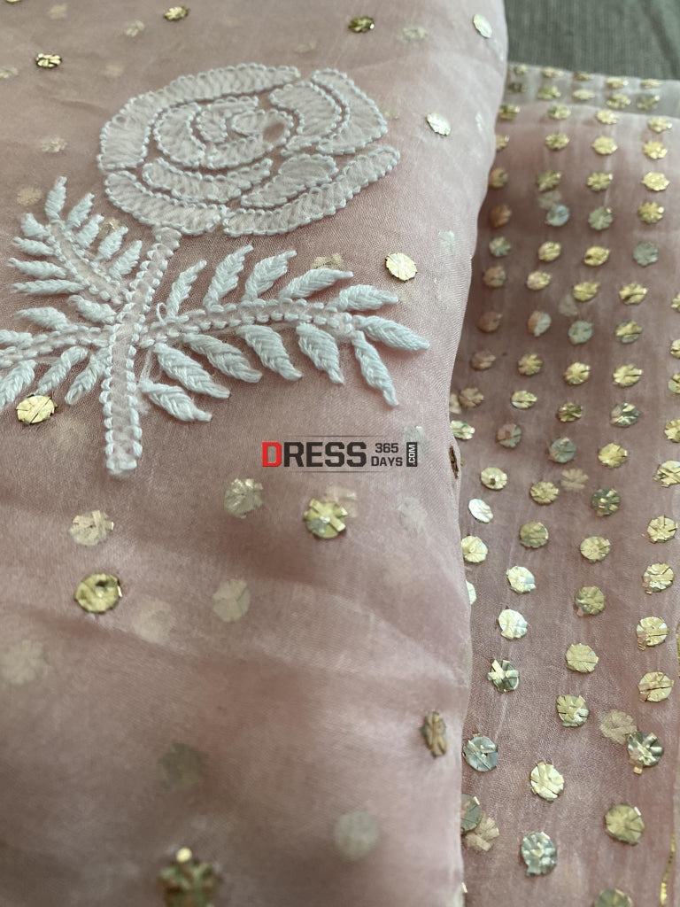 Pastel Pink Organza Mukaish & Chikankari Saree Parsi Gara