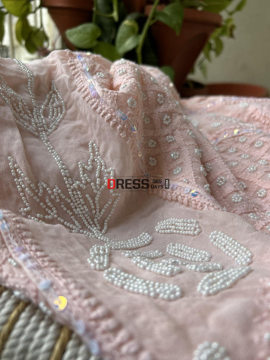 Pastel Pink Pearl Chikankari Anarkali (Anarkali & Dupatta)