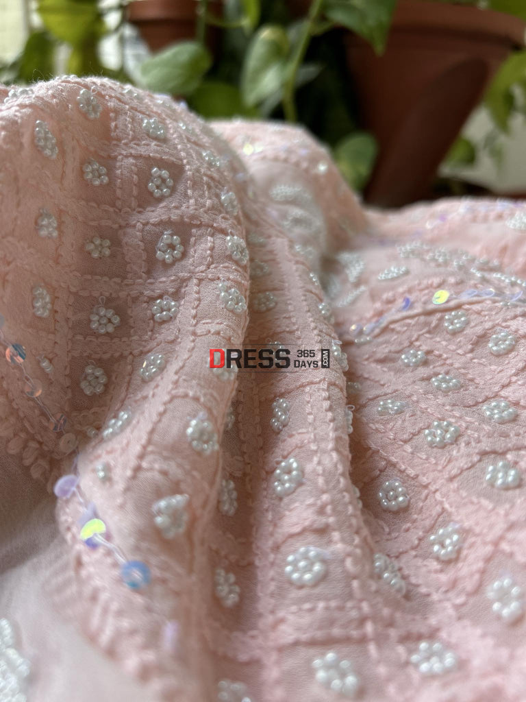 Pastel Pink Pearl Chikankari Anarkali (Anarkali & Dupatta)