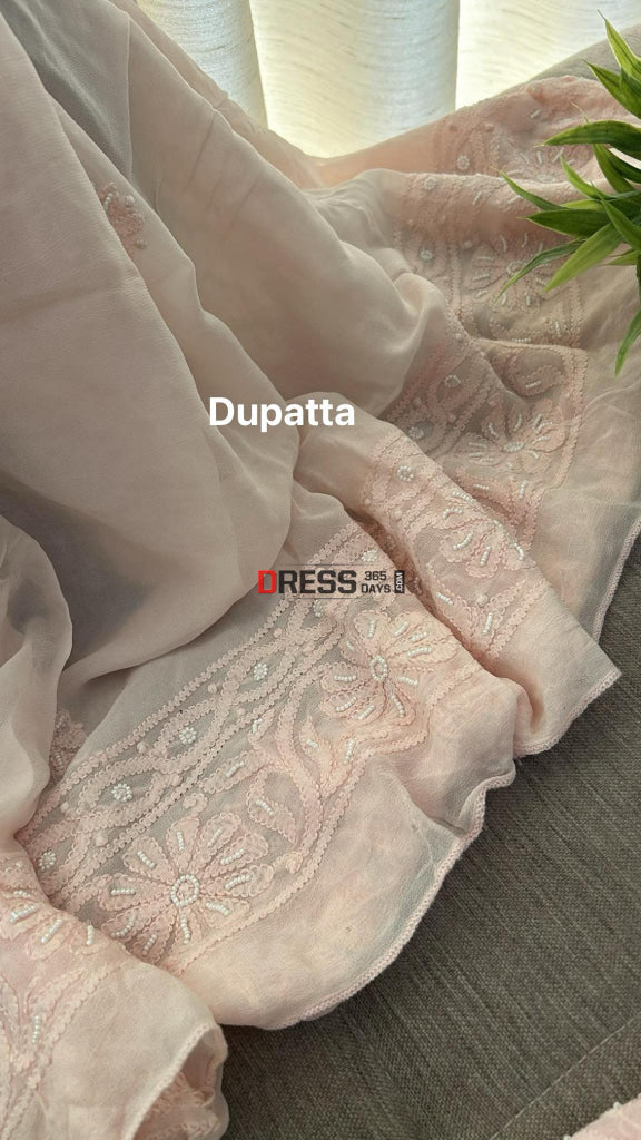 Pastel Pink Pearl Chikankari Anarkali (Anarkali & Dupatta)