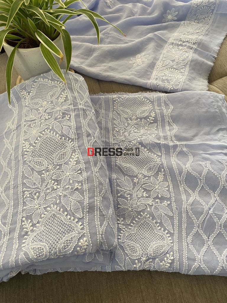 Powder Blue Hand Jaali Lucknowi Chikankari Suit Suits