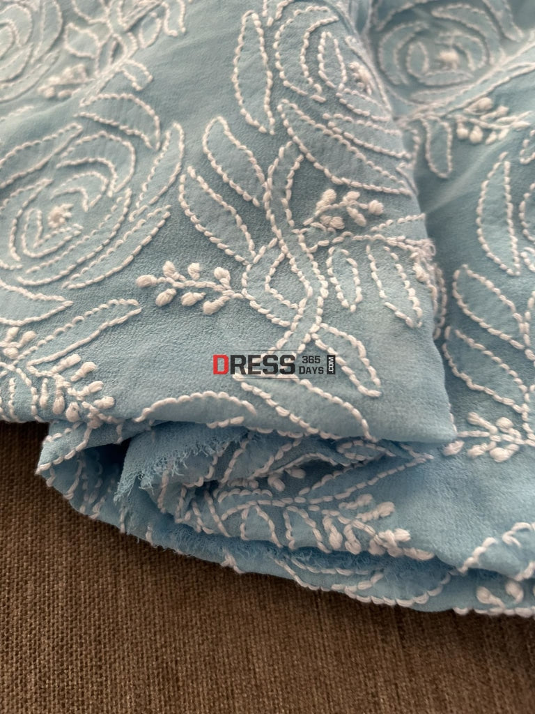 Powder Blue Lucknowi Chikankari Suit Suits