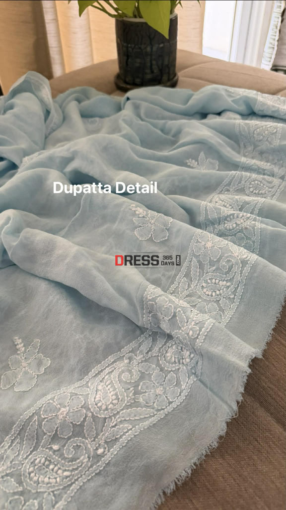 Powder Blue Lucknowi Chikankari Suit - Chikankari Suits