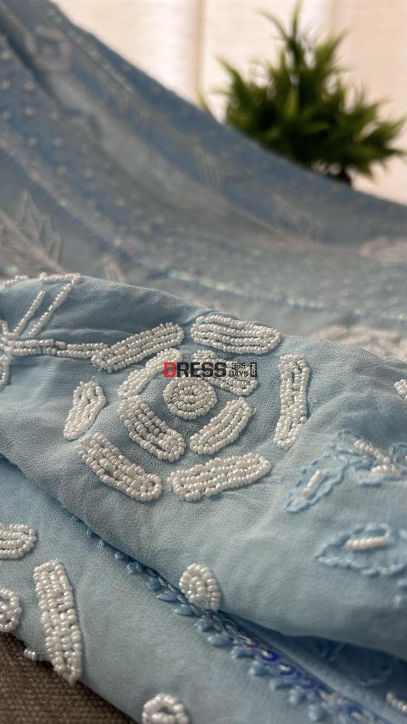 Powder Blue Pearl Chikankari Anarkali (Anarkali & Dupatta)