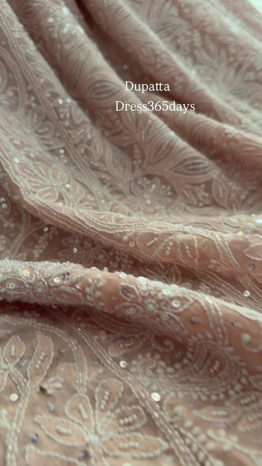 Pastel Pink Cut Dana Sequins Chikankari Dupatta (Pure Georgette)
