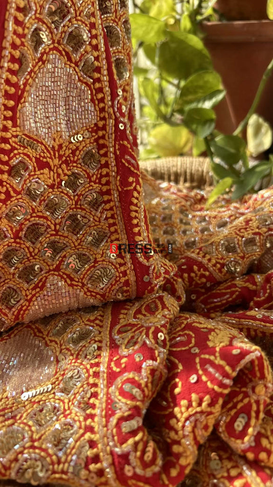 Red Masterpiece Cut Dana & Sequins Work Chikankari Anarkali Suit Chikankari Anarkali