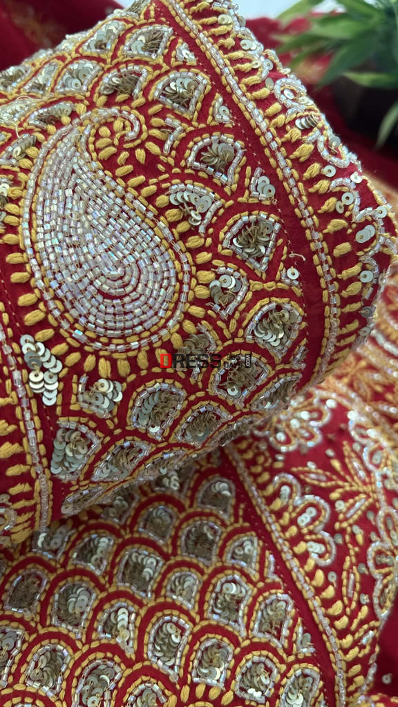 Red Masterpiece Cut Dana & Sequins Work Chikankari Anarkali Suit Chikankari Anarkali