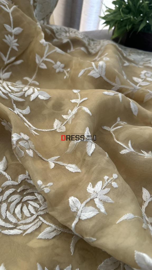 Sand Beige Organza Parsi Gara Gara Saree Parsi Gara Saree