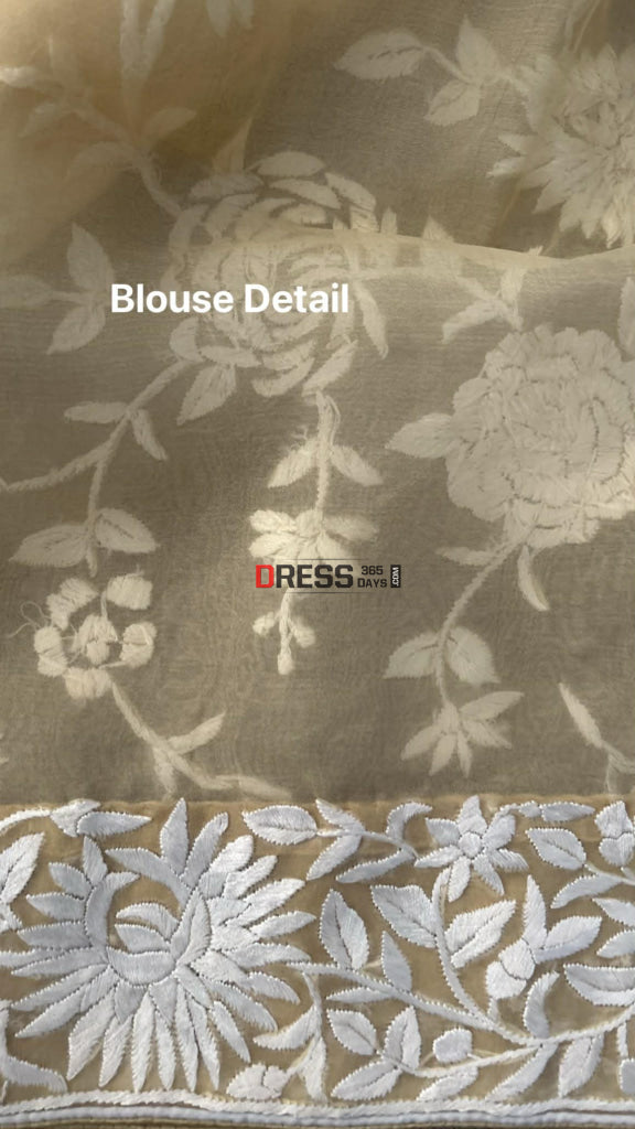 Sand Beige Organza Parsi Gara Gara Saree Parsi Gara Saree