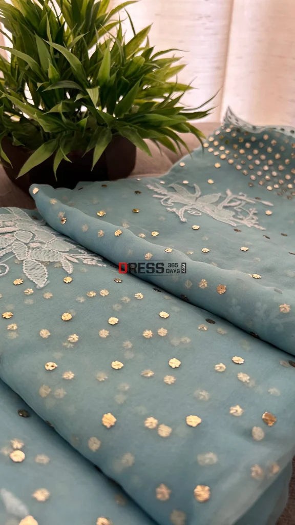 Sky Blue Organza Chikankari & Mukaish Saree Parsi Gara