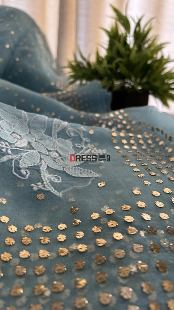 Sky Blue Organza Chikankari & Mukaish Saree Parsi Gara