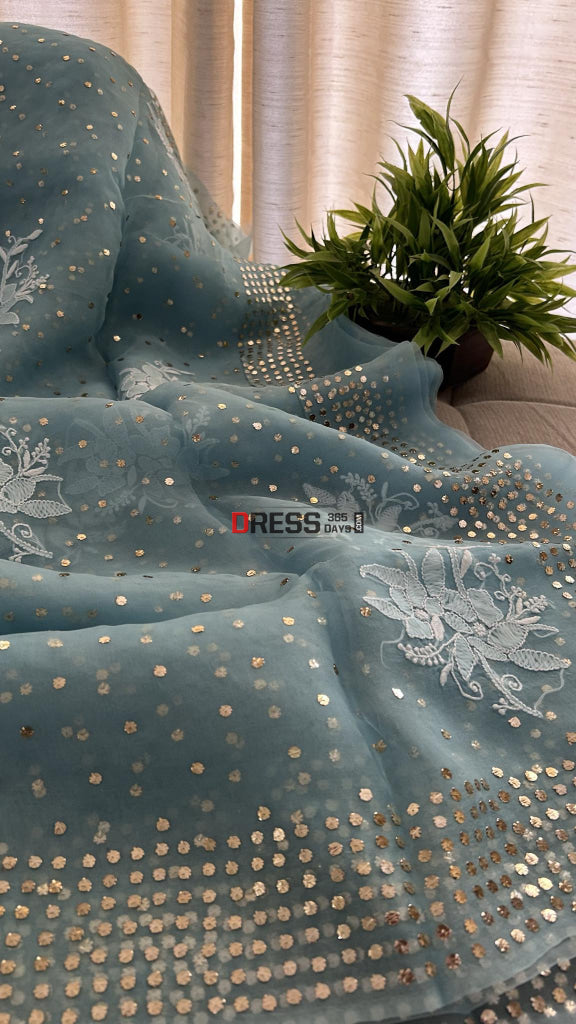 Sky Blue Organza Chikankari & Mukaish Saree Parsi Gara