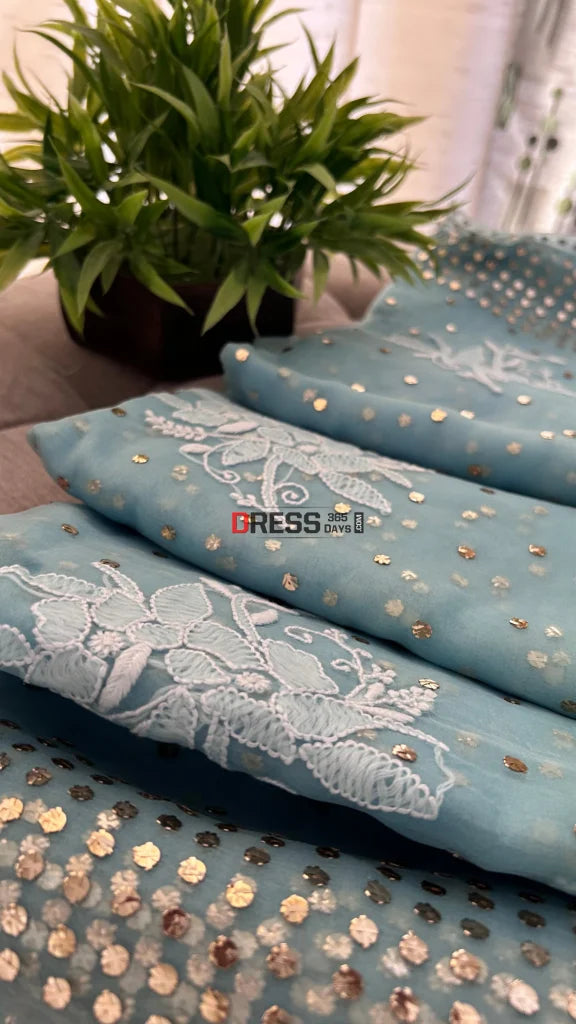 Sky Blue Organza Chikankari & Mukaish Saree Parsi Gara