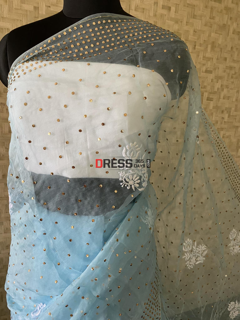 Sky Blue Organza Chikankari & Mukaish Saree Parsi Gara