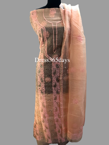 Peach Organza Mukaish Chikankari Suit - Dress365days
