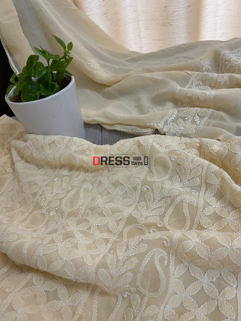 All Over Front And Back Lucknowi Chikankari Suit Suits