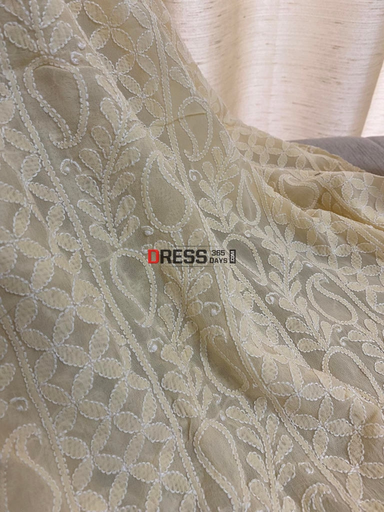 All Over Front And Back Lucknowi Chikankari Suit Suits