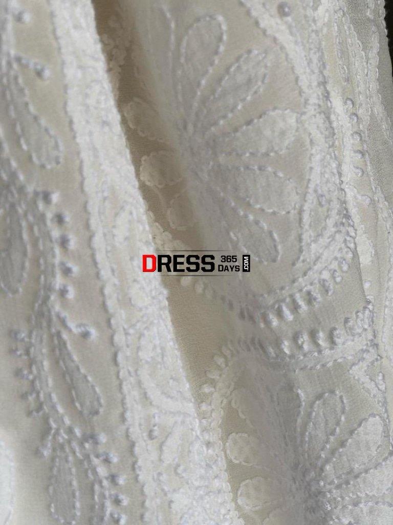 All Over Work Lucknow Chikan Saree Chikankari
